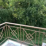Loula Collection - Garden * Skaloma