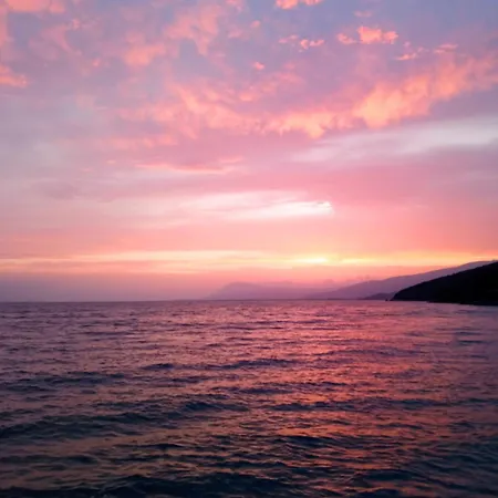 The Loula Collection - Garden