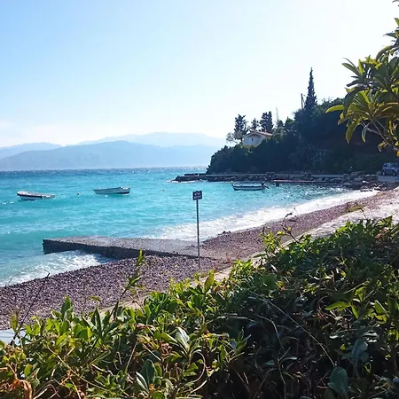 The Loula Collection - Garden