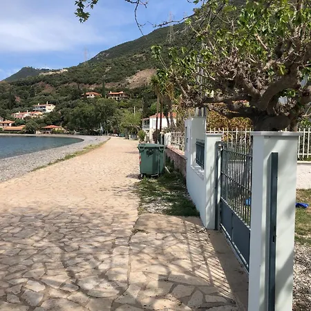 The Loula Collection - Garden Skaloma